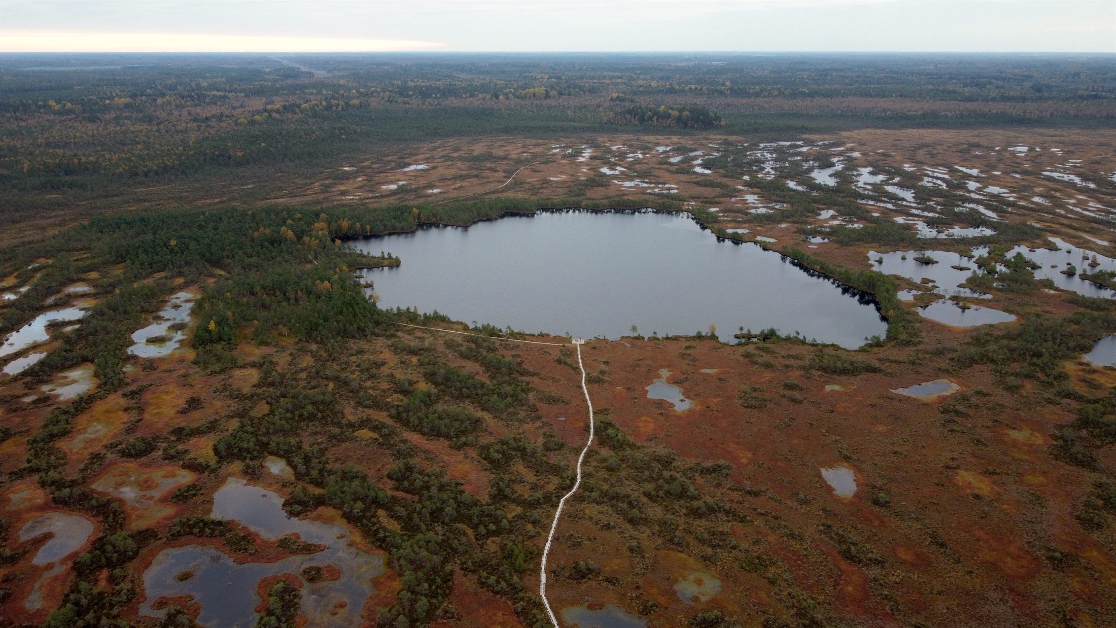 Vaikne järvevaade Eesti looduses.