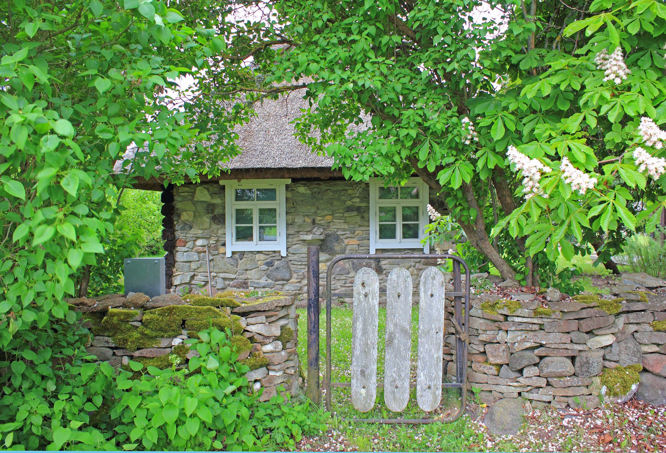 Puitmaja ja hubane maaelu tunne.